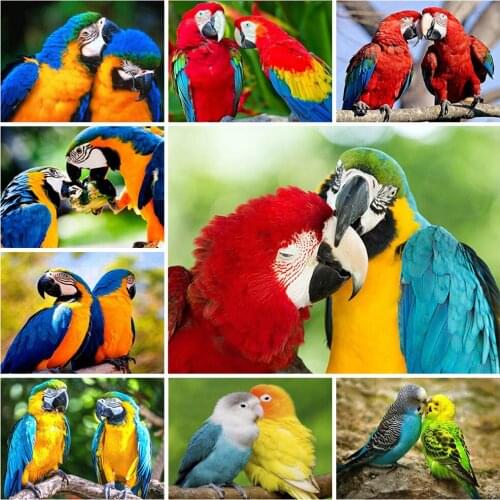 EverShine Diamond Painting Animals Cross Stitch DIY Diamond Mosaic Parrot Picture Rhinestones Needlework Sale Decoration Home