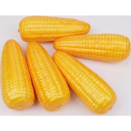 Simulation Vegetable Faux Food Photo Props Kitchen Toys Carrot Props For Photography Home Decor Plastic Vegetables Model Display