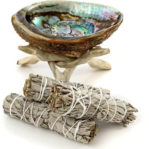 Bundles of White Sage Abalone Shell Holy Wooden Bracket Yoga Physiotherapy Healing and Purification Space Meditation Worship