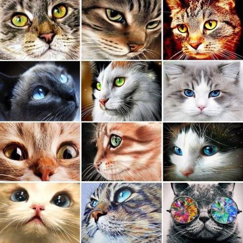 5D DIY Diamond Painting Crystal Cat Face Cross Stitch Kit Full Drill Square Embroidery Mosaic Art Picture Gift Home Decoration