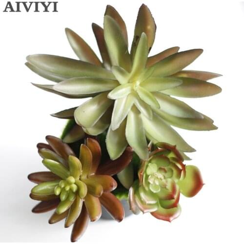 Star Cactus Aloe Echeveria Elegance Artificial Succulent Plant Plastic Flower Decoration Green Plant Background Free Shipping