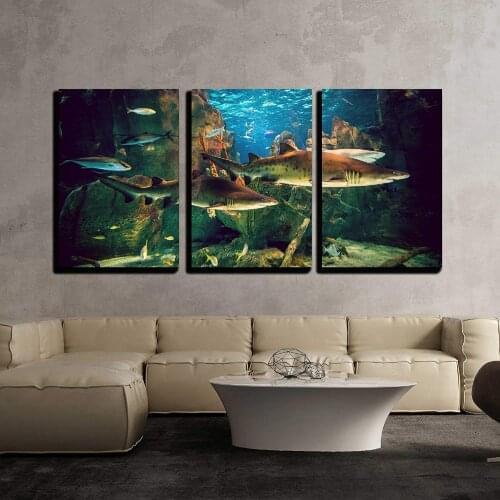 3 Piece Canvas Wall Art - Two White Sharks in Istanbul Aquarium Print on Canvas Ready to Hang Drop shipping