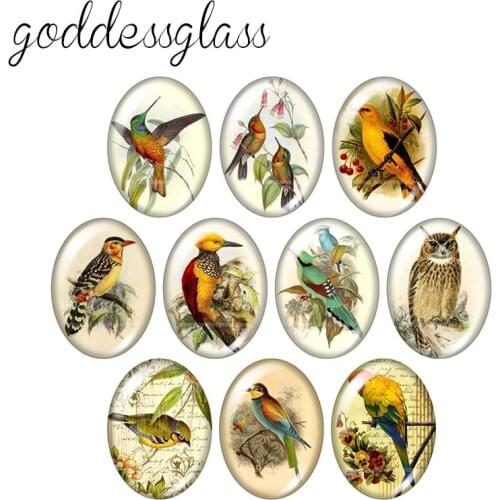 Beauty Vintage Birds Owl parrot 10pcs 13x18mm/18x25mm/30x40mm Oval photo glass cabochon demo flat back Making findings TB0046