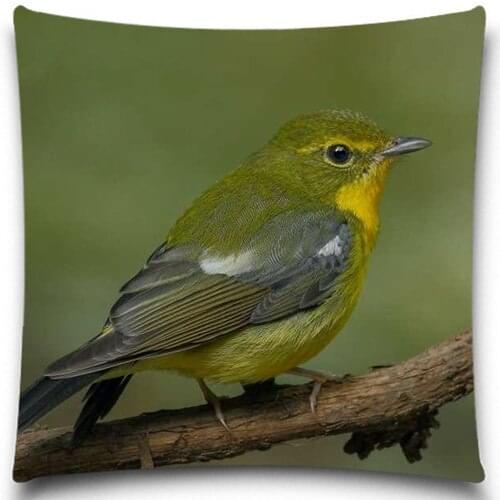 Square Colorful Bird Cushion Cover 18*18 5 size Cute yellow Sparrow Pillow Cover Pillow Case Home Decor