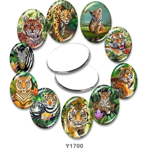 Tiger Oval glass cabochon 13x18mm/18x25mm/30x40mm flat back Making findings TRY1700