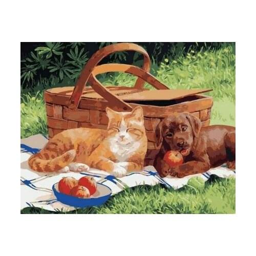 Cat and dog On a picnic Pictures By Numbers On Canvas DIY Elegant Digital Oil Painting Coloring By Numbers Home Decor Art Gift