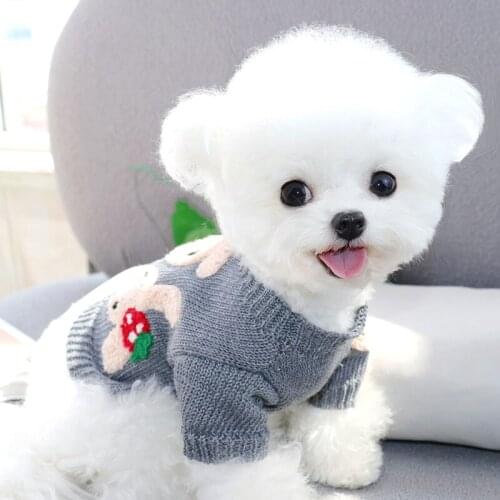 Gray Bunny Dog Sweater Autumn and Winter Clothes Short Pet Pullover Bichon Hiromi Cartoon Two-legged Clothes Warm Puppy Clothes
