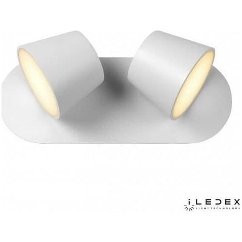iLedex Floodlights