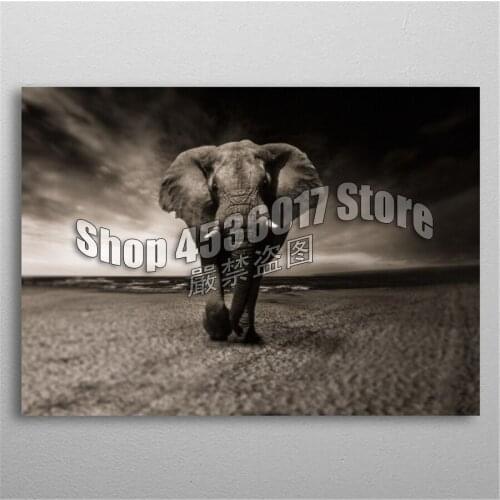 5d Diy Diamond Painting Cross Stitch Diamond Embroidery elephant black and white Diamond Mosaic Full Rhinestone Gifts Home Decor