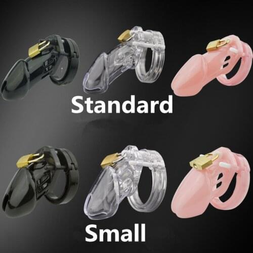 Male Chastity Device Locks Penis Cock Cage With Brass Lock Chastity Belt Sissy Gay Mens Sheath Sexy Mens Panties Erotic Costume