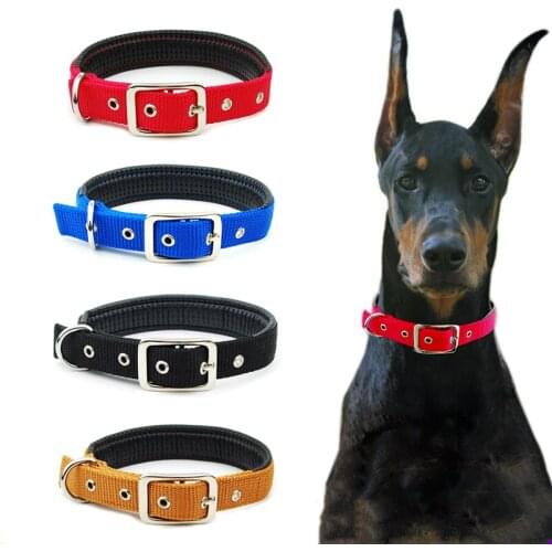 Pet Collar PP Leash Buckle Dog Collar for German Shepherd and Golden Retriever Medium Large Dog Pet Supplies Dog Accessories