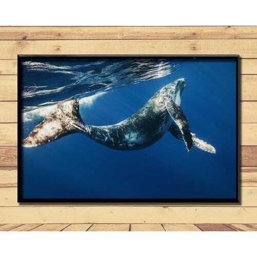Humpback Whale Ferocious Giant Marine Animal (5) Wall Posters Prints Silk Art Painting For Home Wall Bedroom Decor