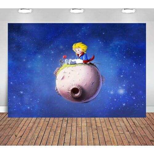 Photo background Rose of the Little Prince planet Indoor background of childrens photography New photography background cloth