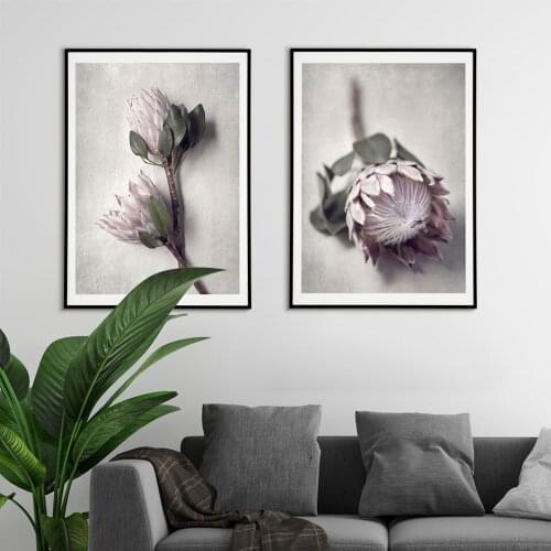 Protea Nordic Flowers Poster Photography Canvas Painting Flowers Wall Art Nature Quote Wall Art Pictures For Living Room Modern