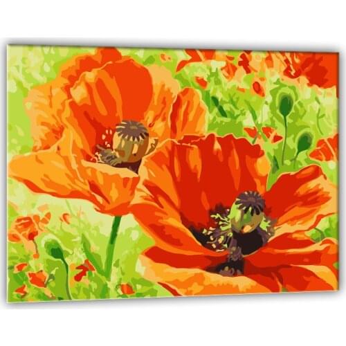 DIY Framed Oil Painting By Numbers Red poppy flower Pictures Canvas Painting For Living Room Wall Art Home Decor