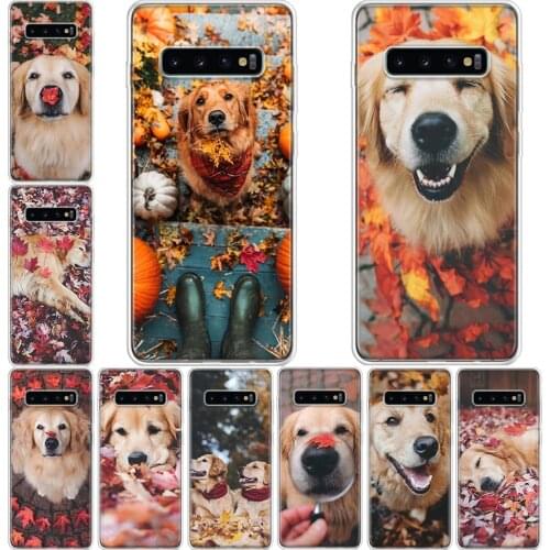 Super cute Golden Retriever Phone Case For Samsung Galaxy A71 A70 A51 A50 A41 A40 A30 A21 A10 A01 A90 A20S A20E A10S M30S A6 A7