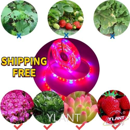 Фитолампы для растений YLANT China At AliExpress