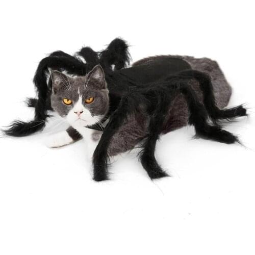 Pet Cat Dog Clothes Cosplay Costume Halloween Pet Spider Costume Dog Puppy Costumes