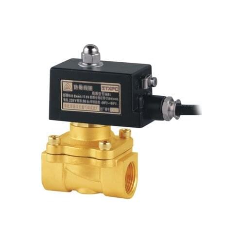Blast Proof Water Solenoid Valves 1'' 2W250-25-E 2/2 Way Valve Brass Body Direct Acting