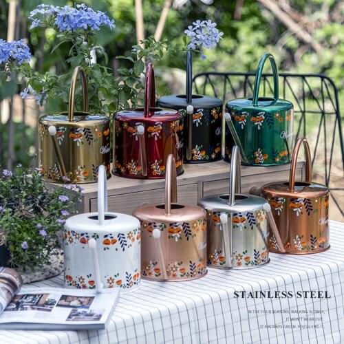 1.3L Watering Can Indoor Outdoor Printing Slender Nozzle Watering Herbs Watering Can For Indoor Outdoor Plants Succulents