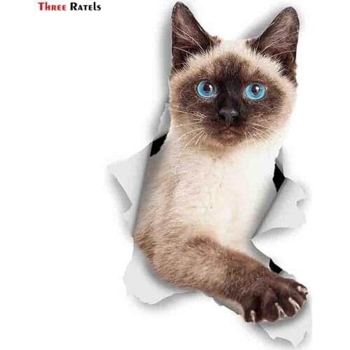 FTC-1040 Three Ratels 3D Cat Stickers Breakout Siamese for Wall Fridge Toilet Diary Stationery Album Flakes Scrapbookin