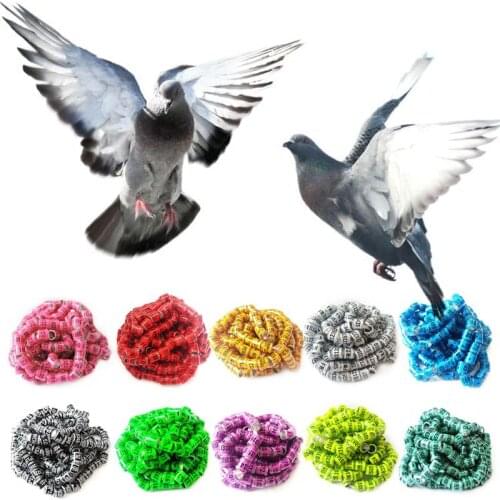 100 Pcs Mix Color Bird Foot Ring Species Identify Dove Bands Training Rings Pet 449C