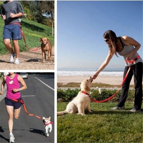 Nylon Dog Leash Adjustable Running Hand Freely Pet Products Dogs Harness Collar Jogging Lead Waist Leashes Traction Belt Rope