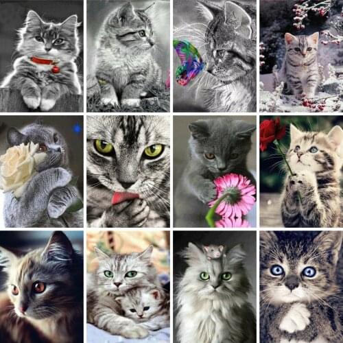 AZQSD Painting By Numbers Cat Drawing On Can Oil Painting By Numbers Animal Hand Paint Kit Canvas Home Decor