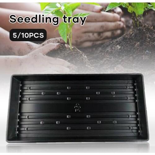 5/10 PCS Rectangular Seedling Trough without Drain Holes 54 x 28cm Plastic Seeding Tray for Graden Greenhouse Plants FP8
