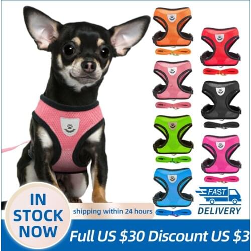 ChuXinMY Products For Dogs