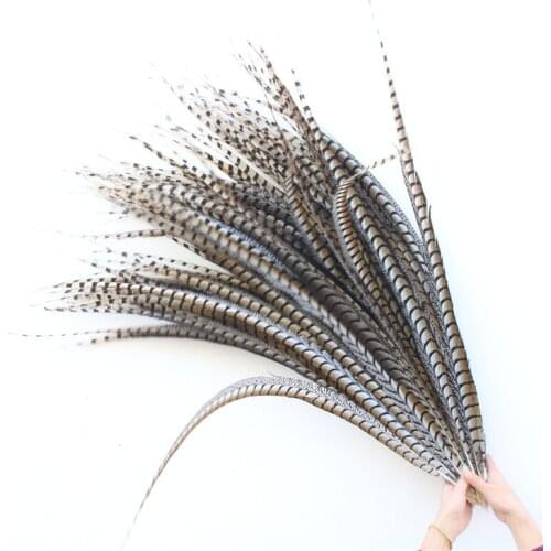 The New Natural Pheasant Tail Feathers 75-85cm 30-34inch Celebration DIY Decoration Plumas De Faisan