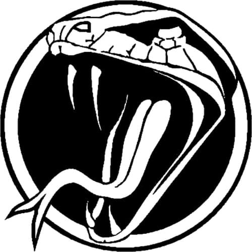 13.6cm*13.6cm Ferocious Snake Fashion Vinyl Motorcycle Car Sticker Decals Accessories S6-3136