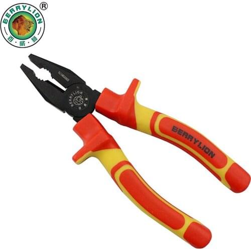 Berry Lion Cycling Products