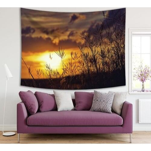 Tapestry Grass Background with Romantic Sunset Cloudy Sky Wild Nature Peaceful Evening Scenery Yellow Orange Brown