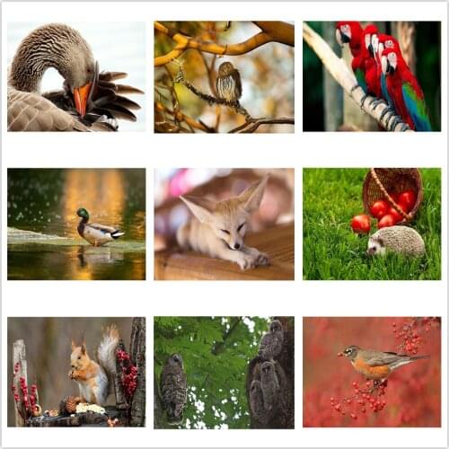 Animal Diamond Painting 5D Diy Cute Diamond Mosaic Hedgehog Cross Stitch Squirrel Sticker Diamond Embroidered Mosaic Gift Decor