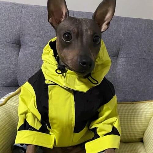 Puppy Clothing Waterproof Dog Jacket Winter Warm Down White feather Fur Pet Clothes For Small Dogs Shih Tzu Chihuahua Pug Coat