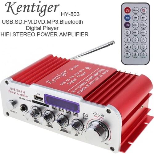 AC110V 2CH HI-FI Bluetooth Car Audio Power Amplifier FM Radio Player Support SD / DVD / MP3 Input Fit for Car Motorcycle Home