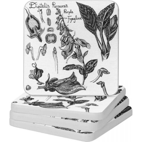 Foxglove Diatomaceous Earth Square Round Coaster Multifunction Cup Bonsai Mat Soap Toothbrush Pad Wholesale 10x10cm