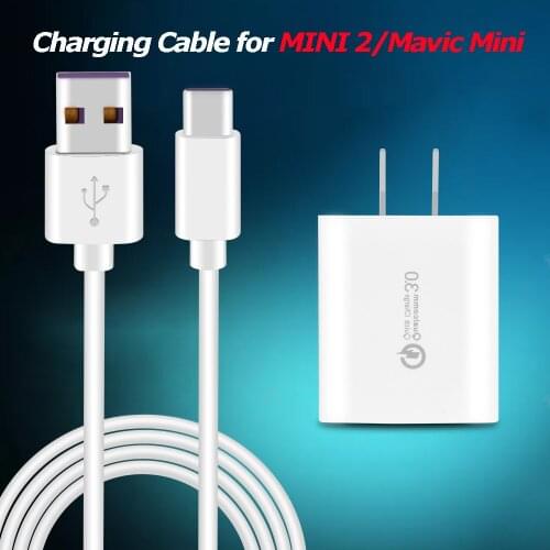 Remote Control Fast Charging Cable for MINI 2/Mavic Mini Two-way Charger Butler FPV Remote Control TYPE-C Mobile Phone Accessory