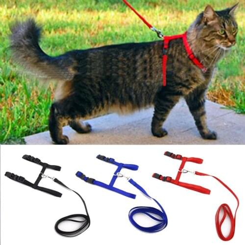 Cat and dog collar belt adjustable nylon pet traction cat and cat sling collar cat products pet belt