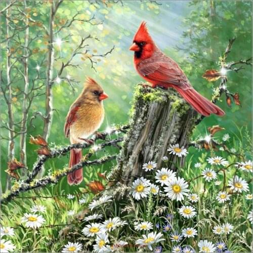 Embroidery Counted Cross Stitch Kits Needlework - Crafts 14 ct DMC Color DIY Arts Handmade Decor - Cardinals in the Meadow