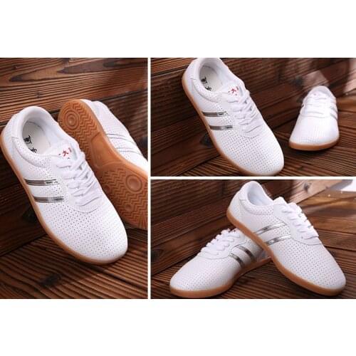 Unisex summer mesh soft cowhide tai chi taijiquan training shoes kung fu Martial arts wushu shoes white