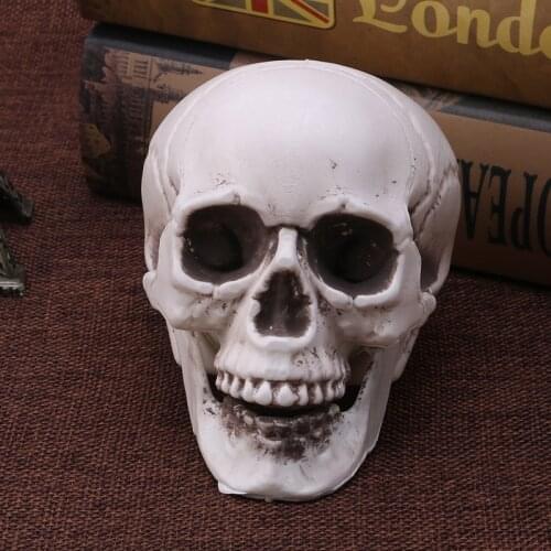 Plastic Human Mini Skull Decor Prop Skeleton Head Halloween Coffee Bars Ornament 62KC
