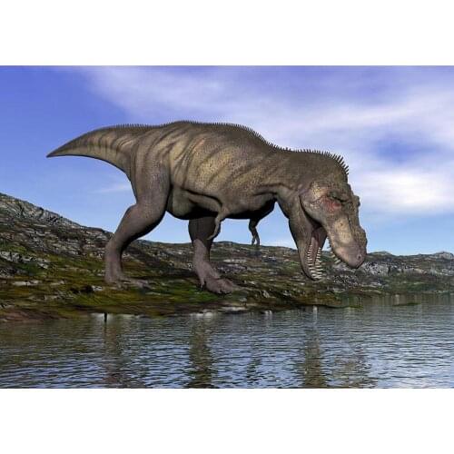 Jurassic Dinosaur Children Party Photography Backdrops For Photo Studio Vinyl Photo Background Custom Baby Portrait Photobooth