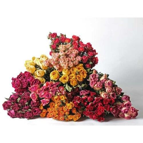 Mori series dried roses bouquet real flowers natural dried literary home decoration flowers shooting background floral diy home