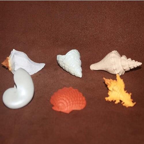 Figure models toys DecorationMollusc, headscarf snail, nautilus, bone screw, fan-shaped shells, large conch 6pcs/set