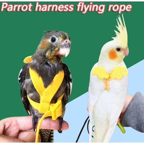 Parrot Flying Harness Leash Suit Pet Bird Outdoor Flight Training Rope Cockatiel Supplies Macaw Accessories Stuff for Budgie