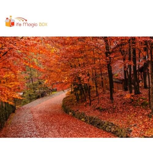 Backgrounds for Photo Studio Fall Backdrop Red Leaves Vinyl Princess 50th Birthday Party Decorations for Jungle Safari Birthday