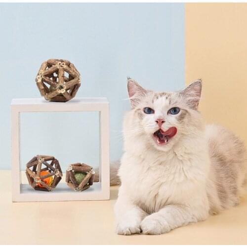 Catnip Ball Cat Toys Interactive Toy for Kitten Matatabi Polygonum Cleaning Cats Teeth Healthy Catnip Wooden Balls Pet Supplies