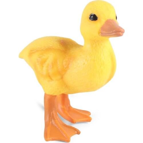 Small Duck Animal Figure Collectible Toys Farm Animal Cognition Action Figures Kids Plastic Model Toys
